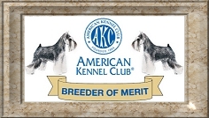 Wy-O's Miniature Schnauzers - AKC Breeder of Merit